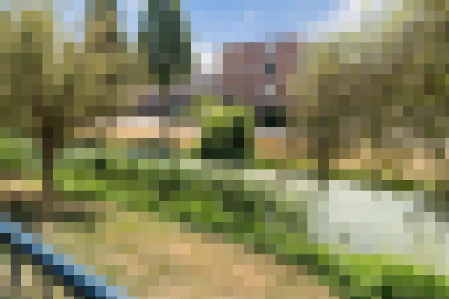 Dahliastraat 184 Zwijndrecht thumbnail 14