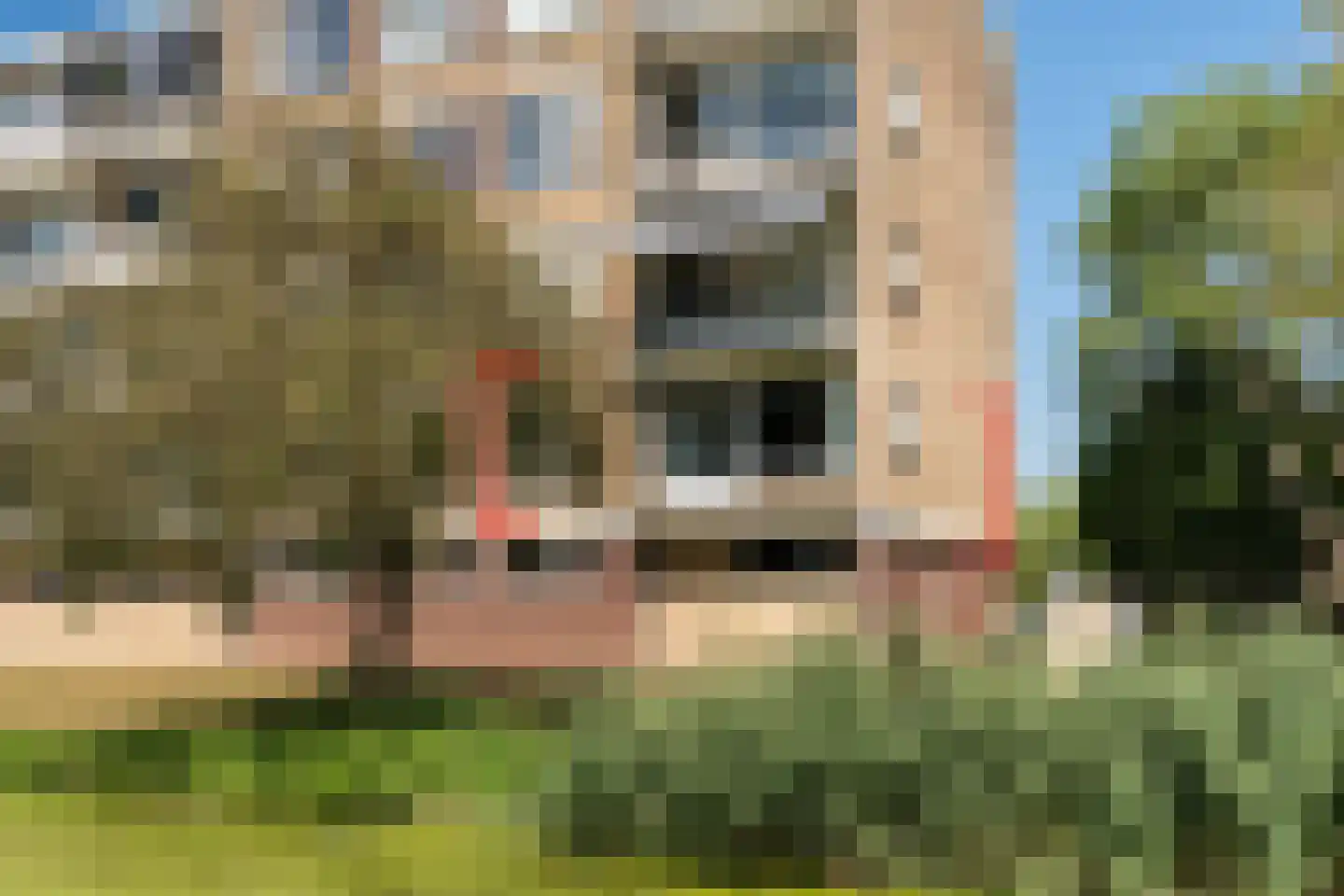 Dahliastraat 184 Zwijndrecht thumbnail 31