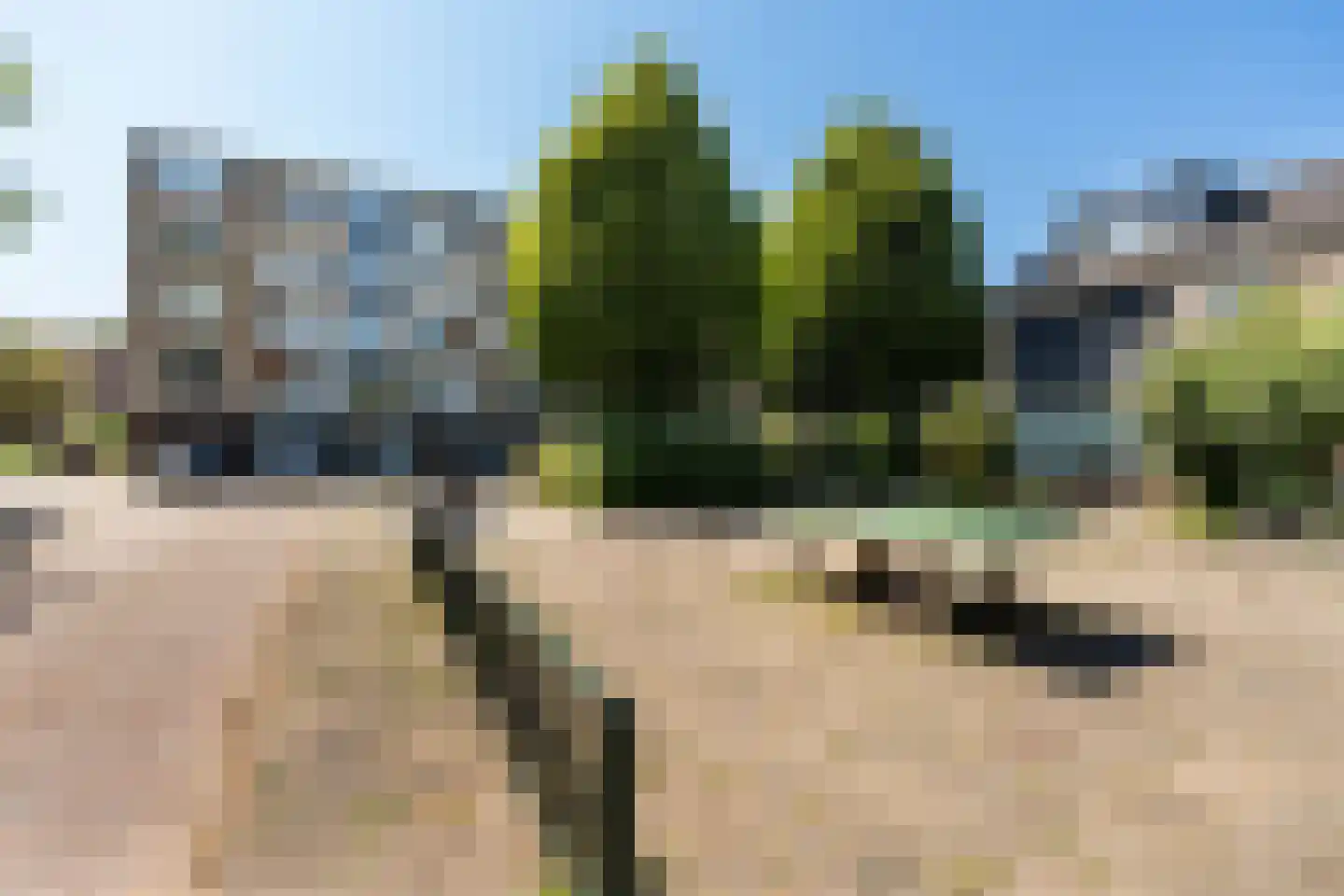 Dahliastraat 184 Zwijndrecht thumbnail 32