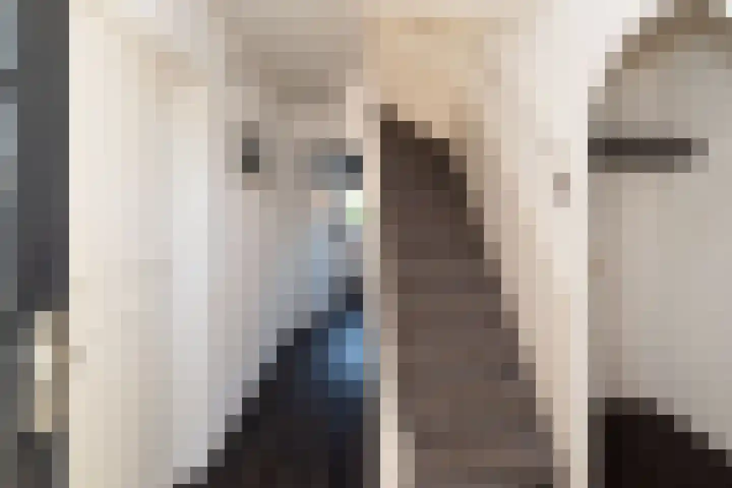 Dahliastraat 19 Nijverdal thumbnail 17