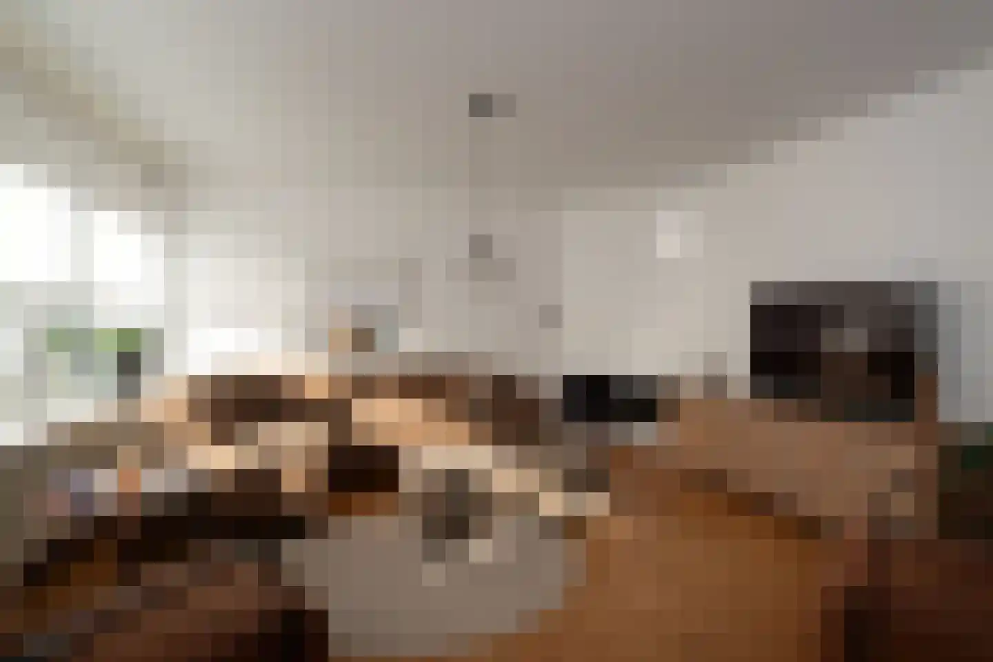 Dahliastraat 19 Nijverdal thumbnail 7