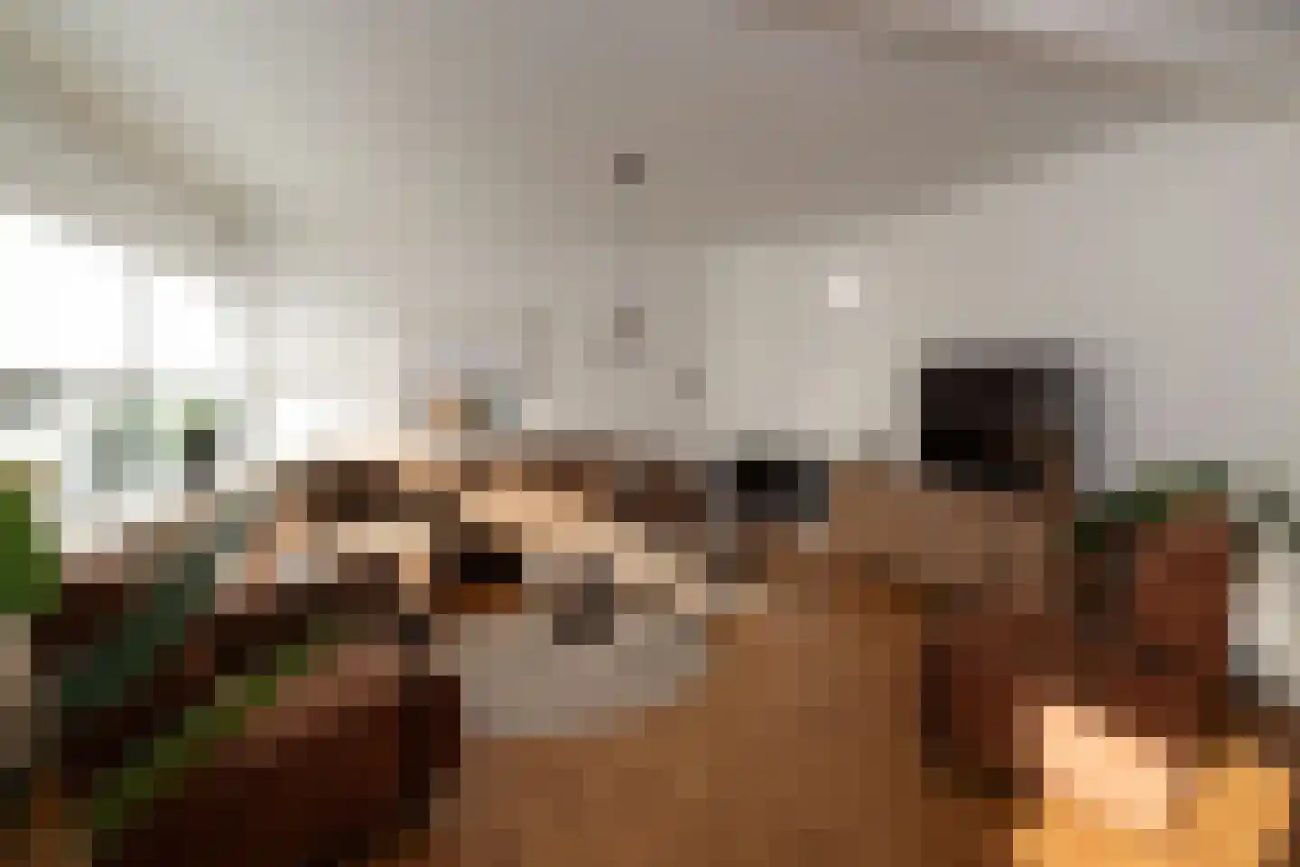 Dahliastraat 19 Nijverdal thumbnail 8