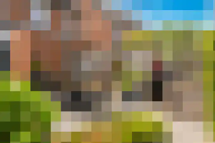 Dahliastraat 19 Winterswijk thumbnail 30