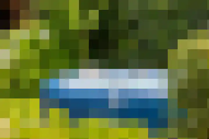 Dahliastraat 19 Winterswijk thumbnail 32