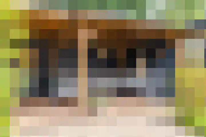 Dahliastraat 19 Winterswijk thumbnail 33