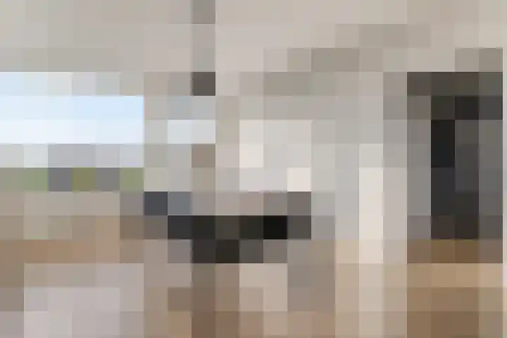 Dahliastraat 190 Zwijndrecht thumbnail 15