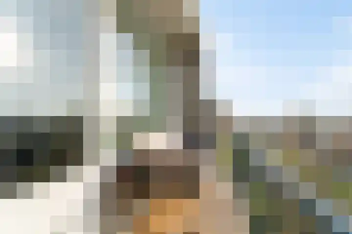 Dahliastraat 190 Zwijndrecht thumbnail 20