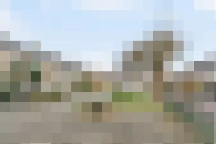 Dahliastraat 190 Zwijndrecht thumbnail 36