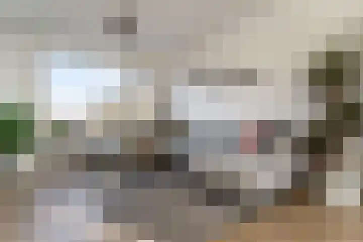 Dahliastraat 190 Zwijndrecht thumbnail 8