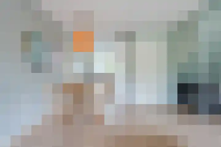 Dahliastraat 2 Hattem thumbnail 13