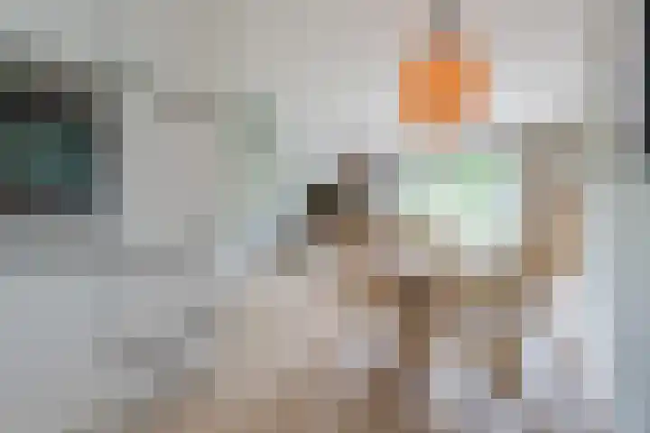 Dahliastraat 2 Hattem thumbnail 14