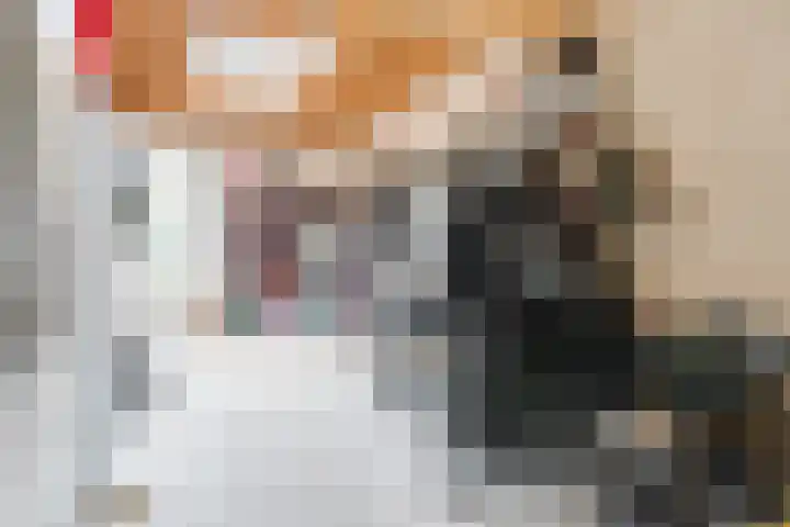 Dahliastraat 2 Hattem thumbnail 18