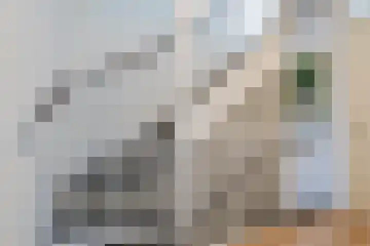 Dahliastraat 2 Hattem thumbnail 31