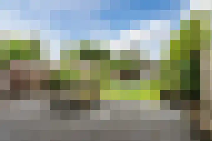 Dahliastraat 2 Hattem thumbnail 38