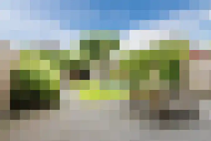 Dahliastraat 2 Hattem thumbnail 39