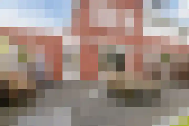 Dahliastraat 2 Hattem thumbnail 43