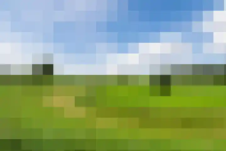 Dahliastraat 2 Hattem thumbnail 49