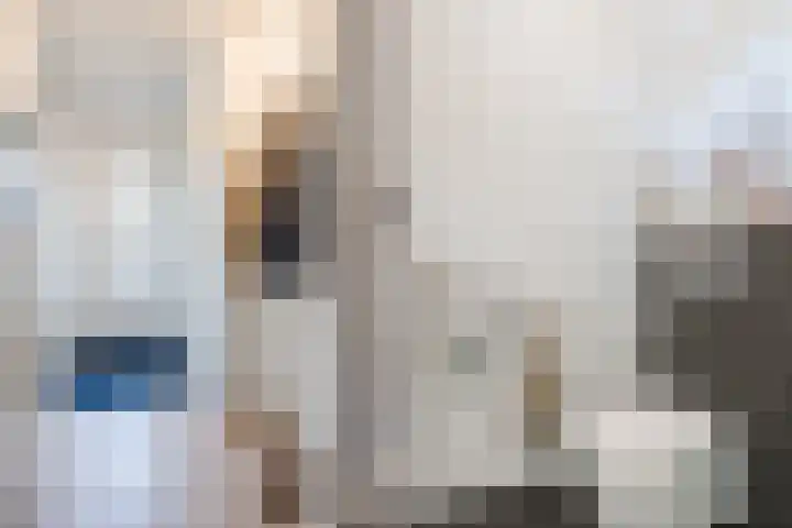Dahliastraat 2 Hattem thumbnail 8