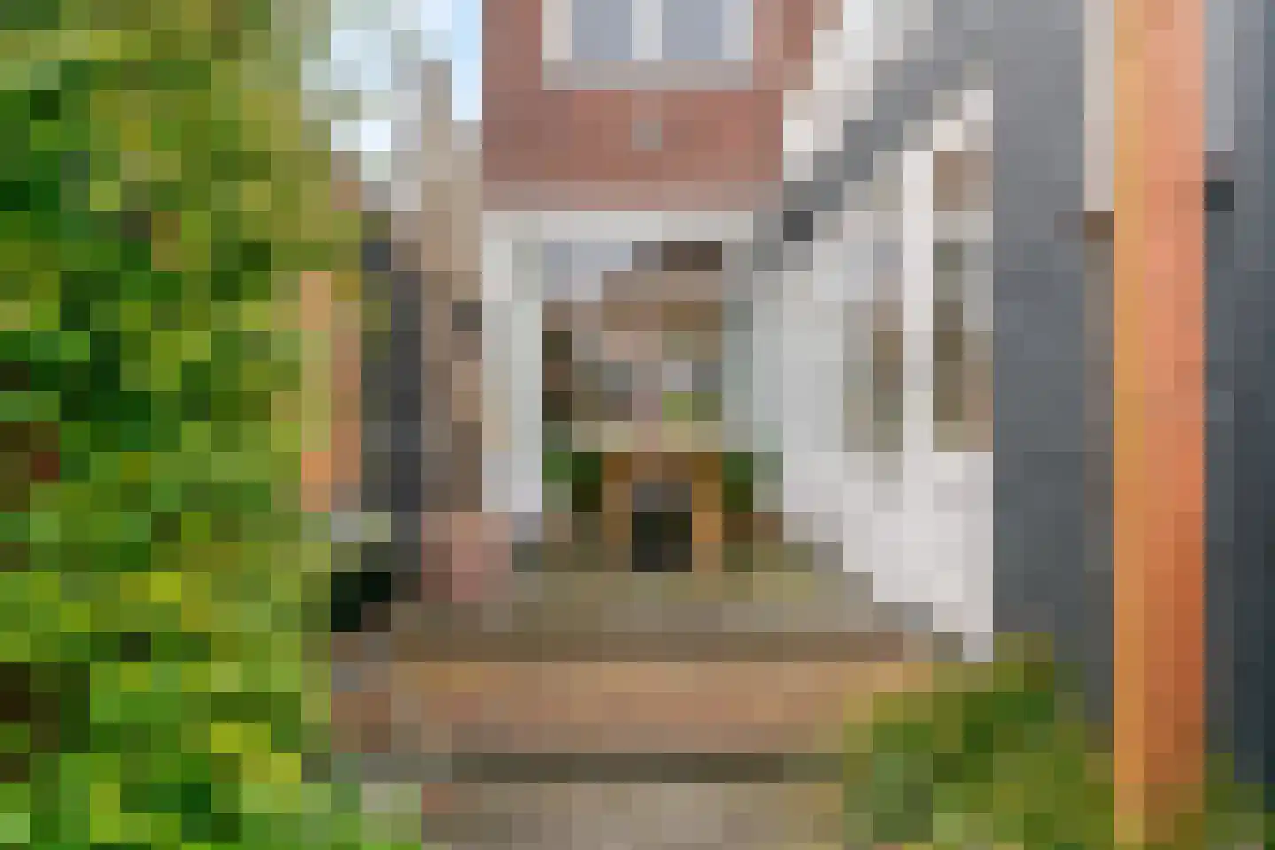Dahliastraat 2 Woerden thumbnail 4