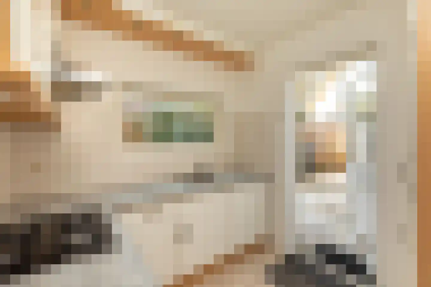 Dahliastraat 20 Hilversum thumbnail 8