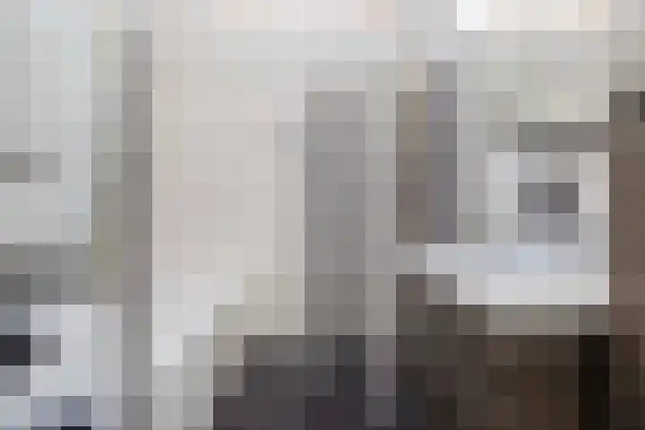 Dahliastraat 20 Veenendaal thumbnail 18