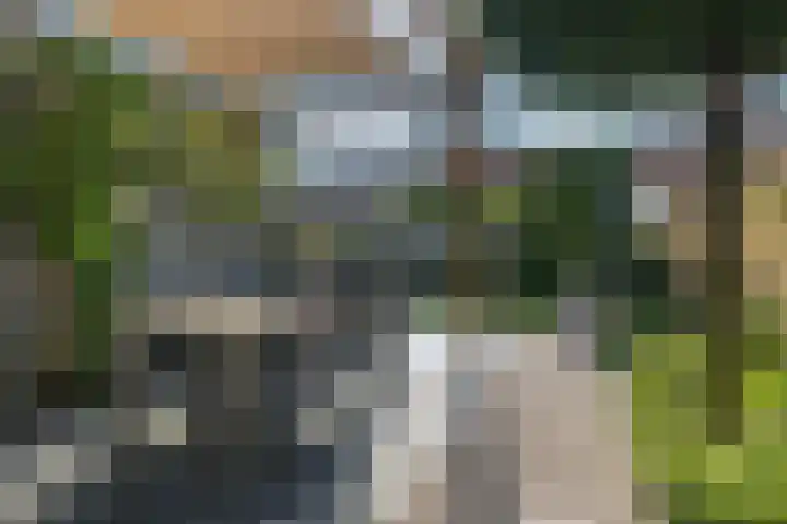 Dahliastraat 20 Veenendaal thumbnail 34