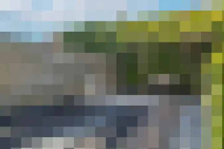 Dahliastraat 20 Veenendaal thumbnail 37