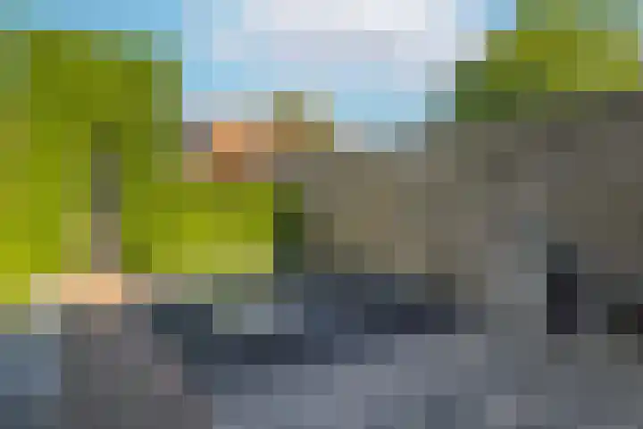 Dahliastraat 20 Veenendaal thumbnail 38