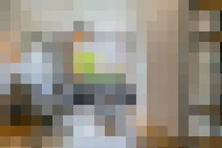 Dahliastraat 20 Veenendaal thumbnail 7