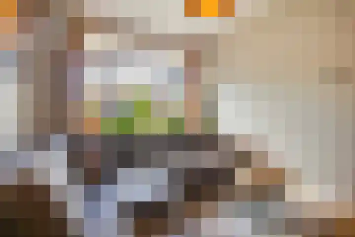 Dahliastraat 20 Veenendaal thumbnail 8