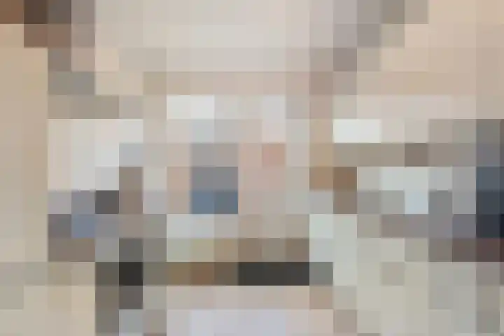 Dahliastraat 21 Olst thumbnail 10
