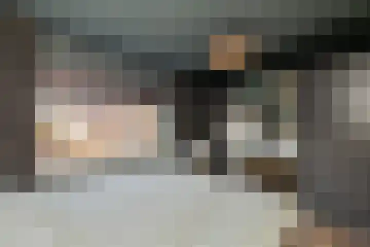 Dahliastraat 21 Olst thumbnail 12