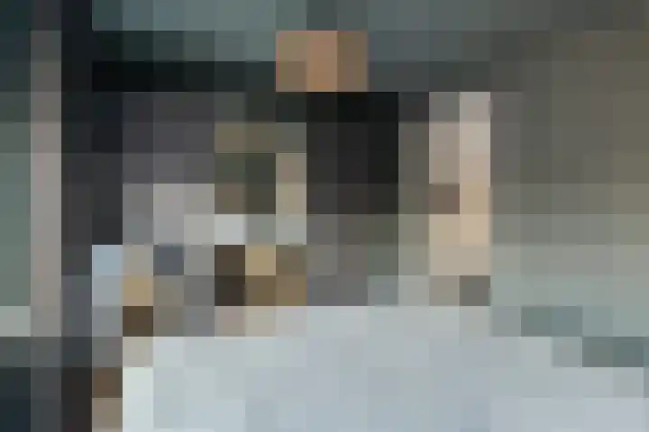 Dahliastraat 21 Olst thumbnail 14