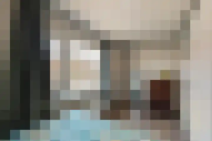 Dahliastraat 21 Olst thumbnail 16