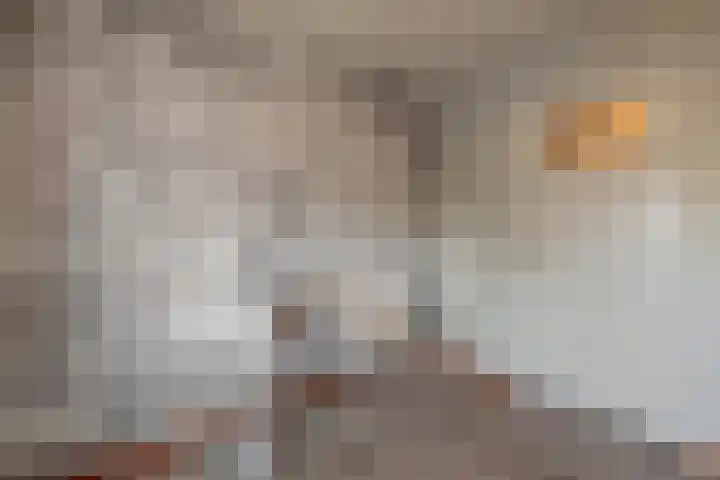 Dahliastraat 21 Olst thumbnail 18