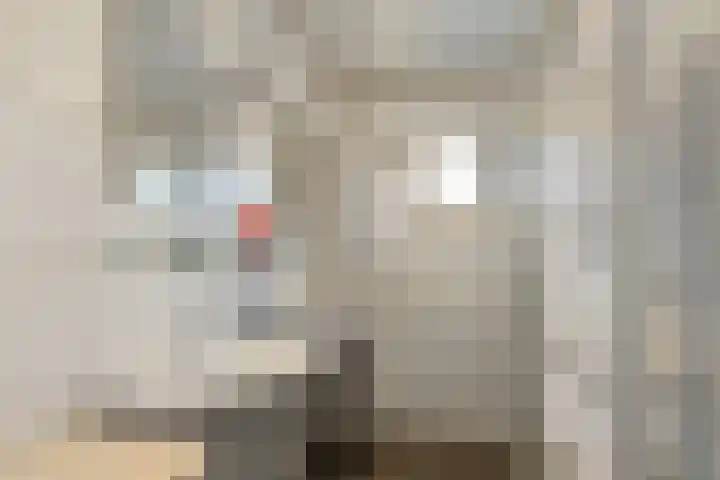 Dahliastraat 21 Olst thumbnail 19