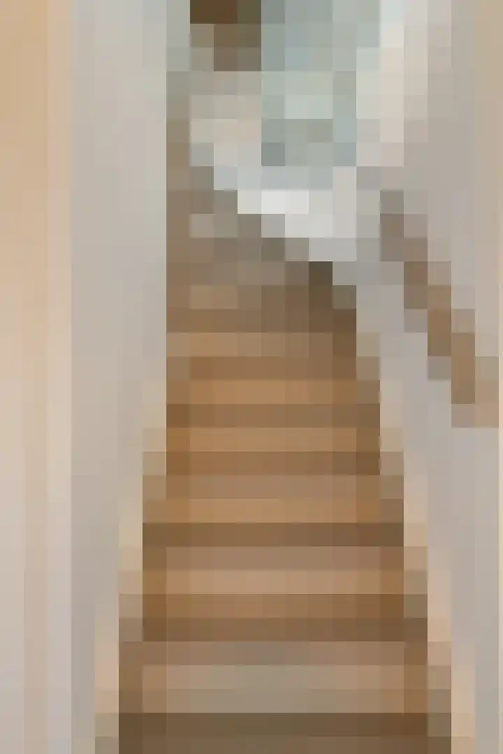 Dahliastraat 21 Olst thumbnail 22