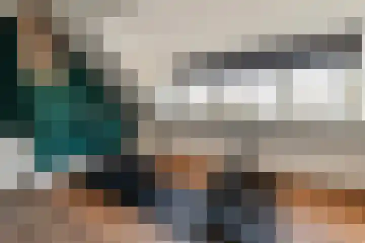 Dahliastraat 21 Olst thumbnail 23