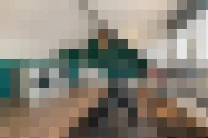Dahliastraat 21 Olst thumbnail 24