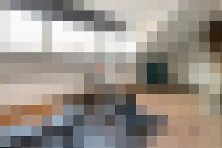 Dahliastraat 21 Olst thumbnail 25
