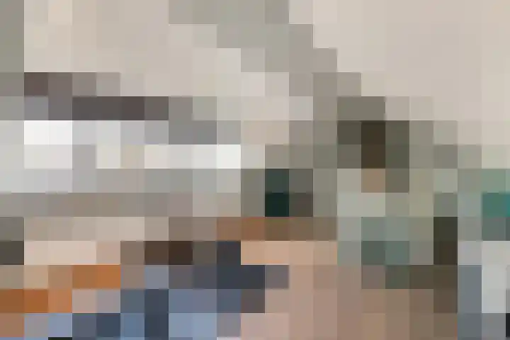 Dahliastraat 21 Olst thumbnail 26