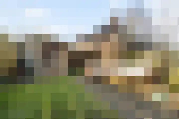Dahliastraat 21 Olst thumbnail 28