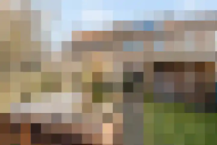 Dahliastraat 21 Olst thumbnail 29