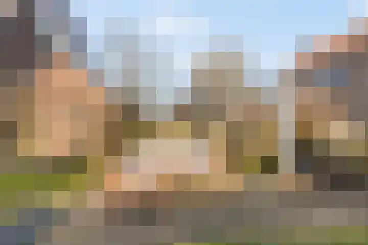 Dahliastraat 21 Olst thumbnail 30
