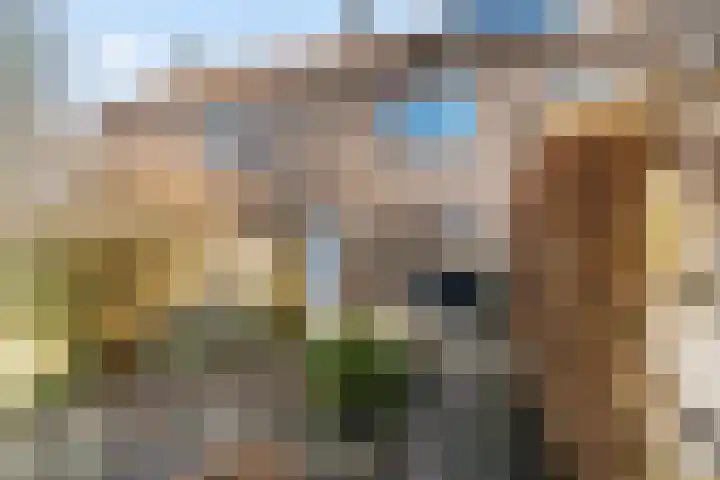 Dahliastraat 21 Olst thumbnail 31