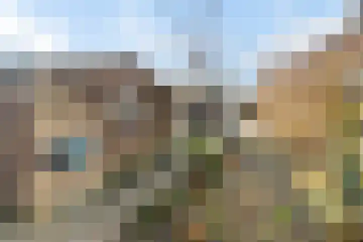 Dahliastraat 21 Olst thumbnail 32