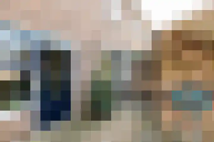 Dahliastraat 21 Olst thumbnail 33