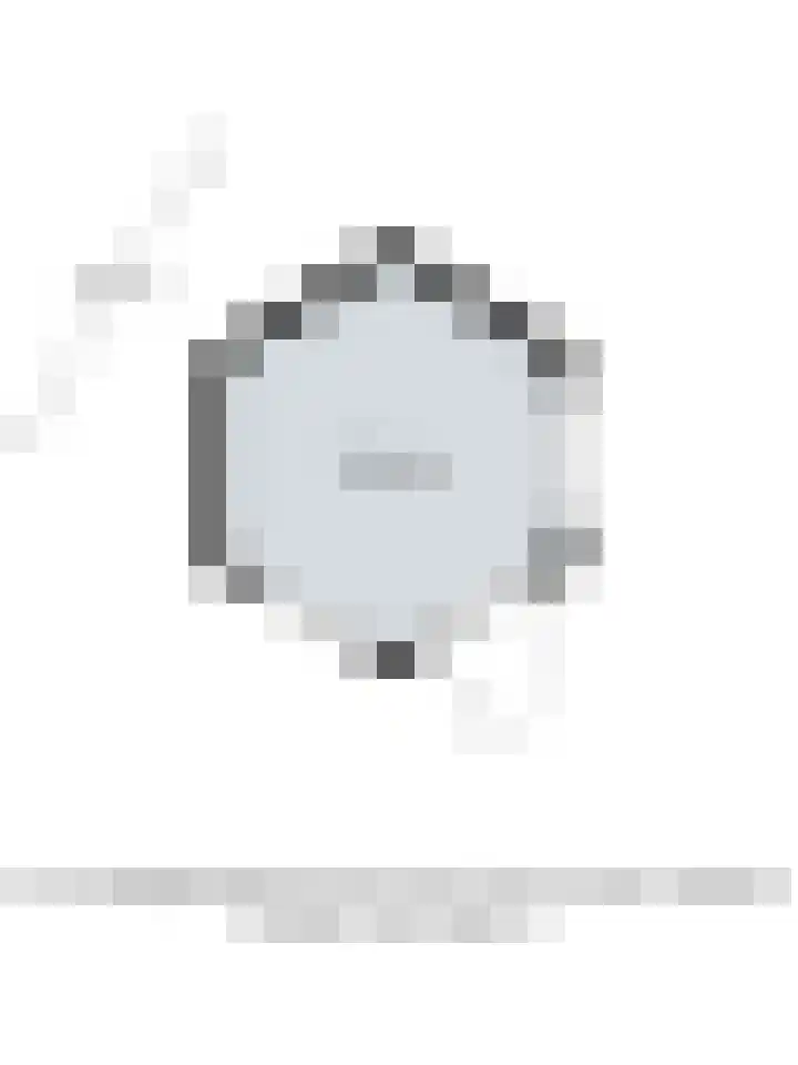 Dahliastraat 21 Olst thumbnail 37
