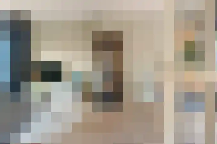 Dahliastraat 21 Olst thumbnail 6