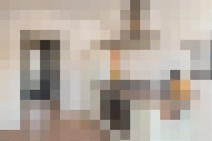 Dahliastraat 21 Olst thumbnail 8